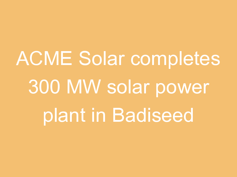 ACME Solar completes 300 MW solar power plant in Badiseed