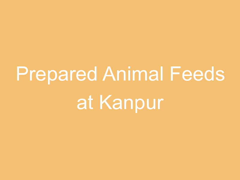 Prepared Animal Feeds at Kanpur