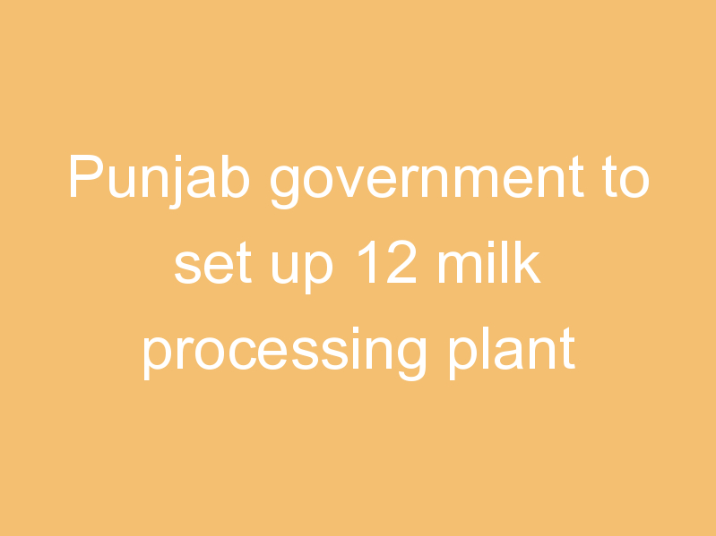 Punjab government to set up 12 milk processing plant