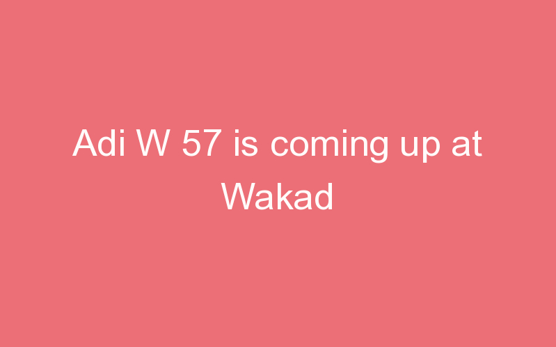 Adi W 57 is coming up at Wakad