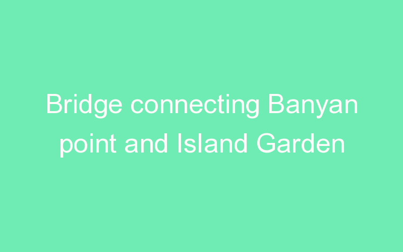 Bridge connecting Banyan point and Island Garden | ProjectX India