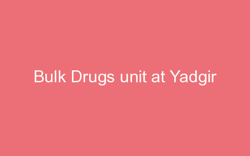 Bulk Drugs unit at Yadgir