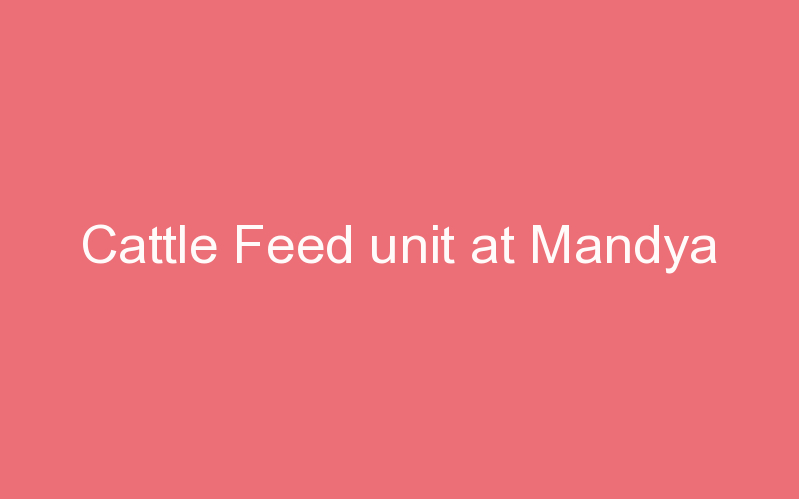 Cattle Feed unit at Mandya