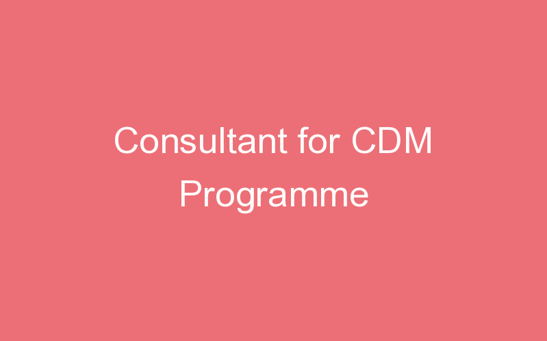 Consultant for CDM Programme