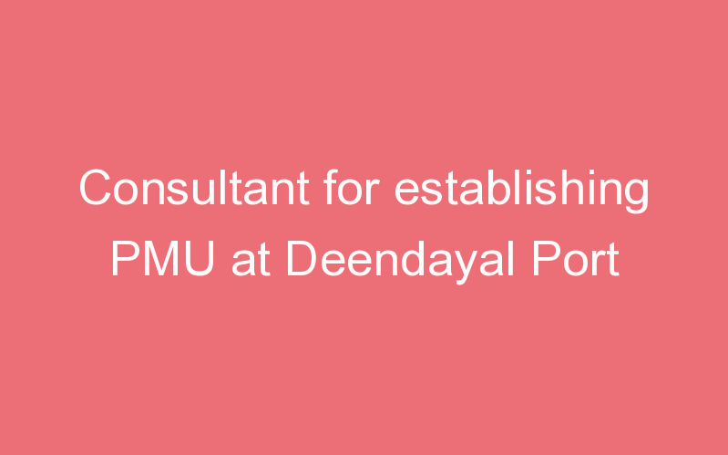 Consultant for establishing PMU at Deendayal Port