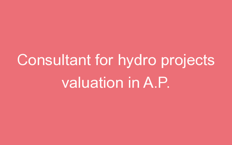 Consultant for hydro projects valuation in A.P.