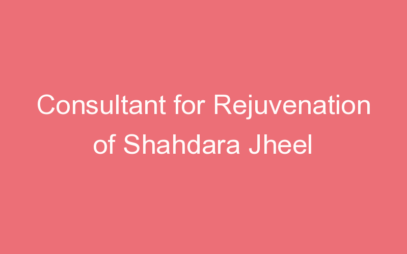 Consultant for Rejuvenation of Shahdara Jheel