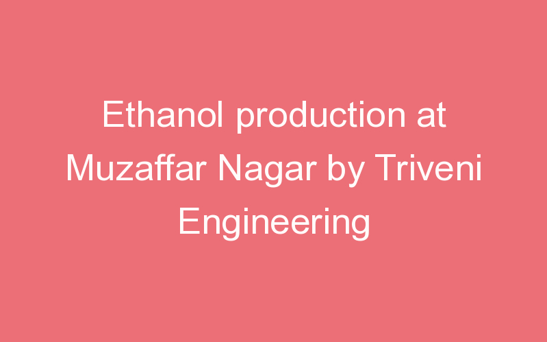 Ethanol production at Muzaffar Nagar by Triveni Engineering