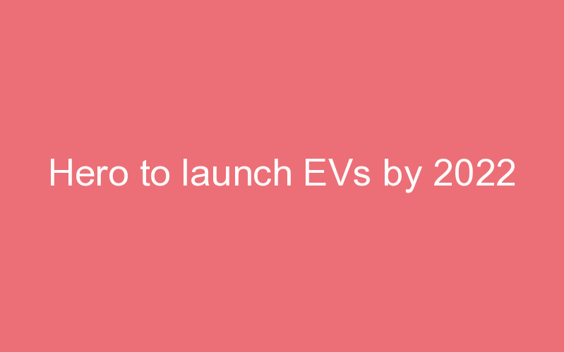 Hero to launch EVs by 2022