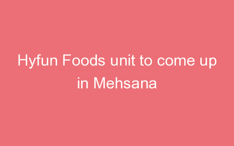 Hyfun Foods unit to come up in Mehsana