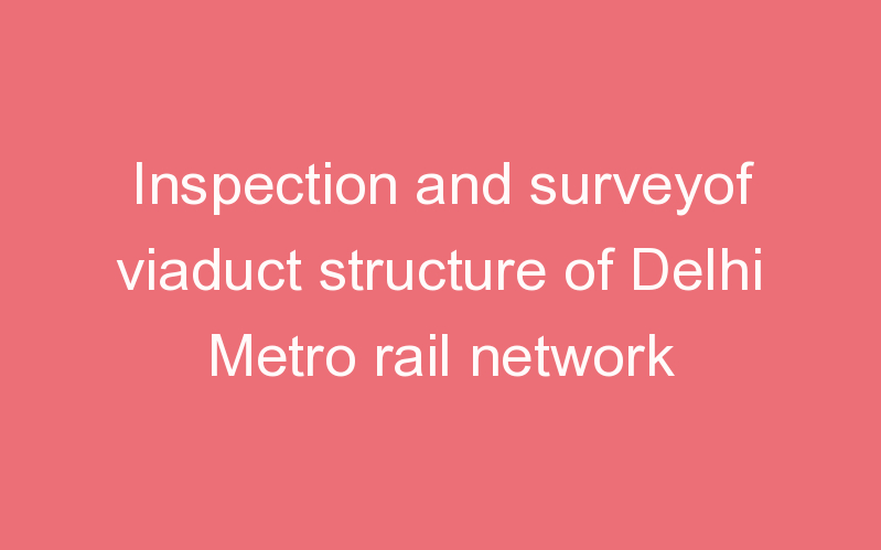 Inspection and surveyof viaduct structure of Delhi Metro rail network