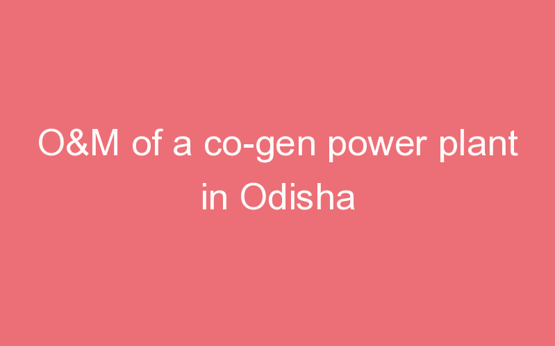 O&M of a co-gen power plant in Odisha