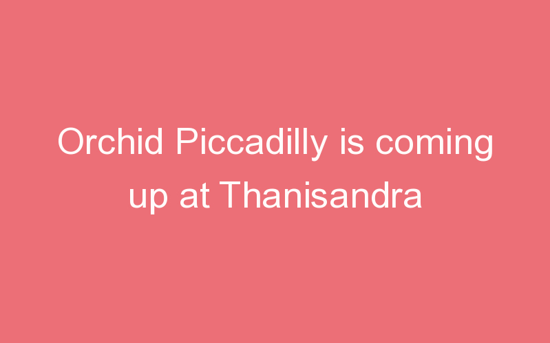 Orchid Piccadilly is coming up at Thanisandra