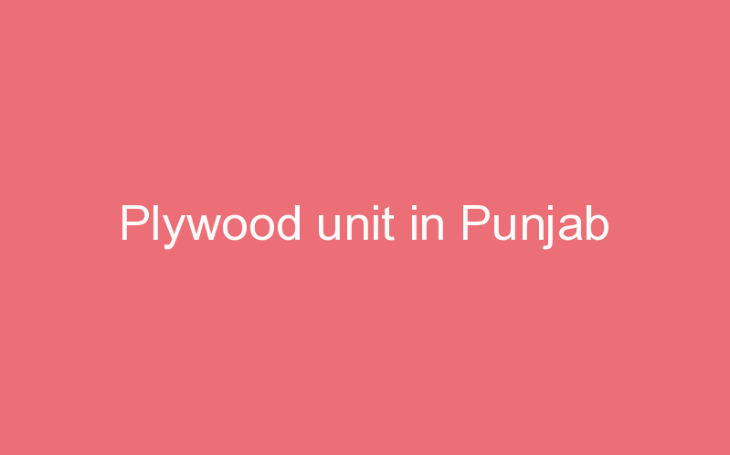 Plywood unit in Punjab