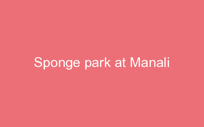 Sponge park at Manali