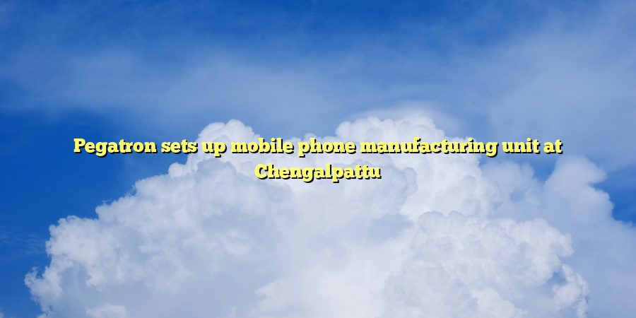 Pegatron sets up mobile phone manufacturing unit at Chengalpattu